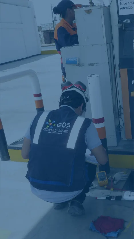 Fondo